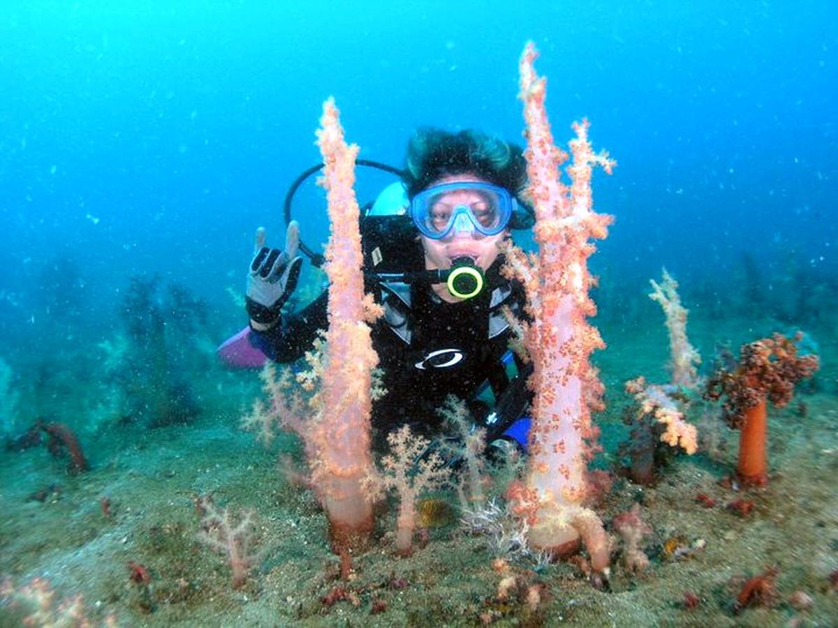 Bentrina Diving Resort Mabini  Extérieur photo